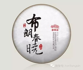 海湾茶业 为天下人做好茶，深圳茶博会绽放匠心魅力